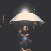 random user face|avatar(15)